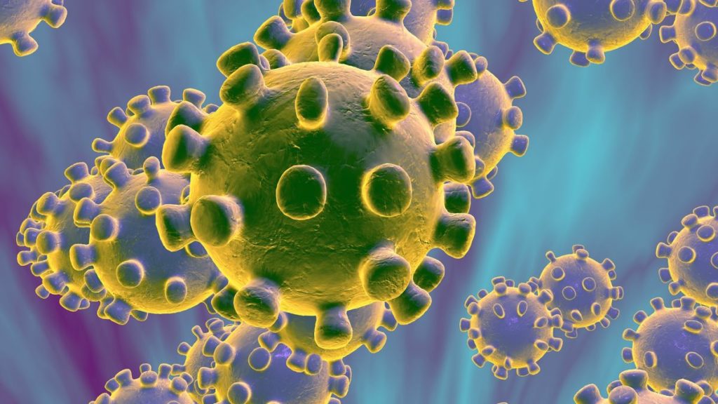 corona virus