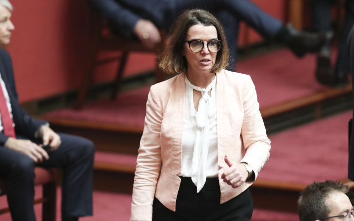 Senator Anne Ruston in parliament 