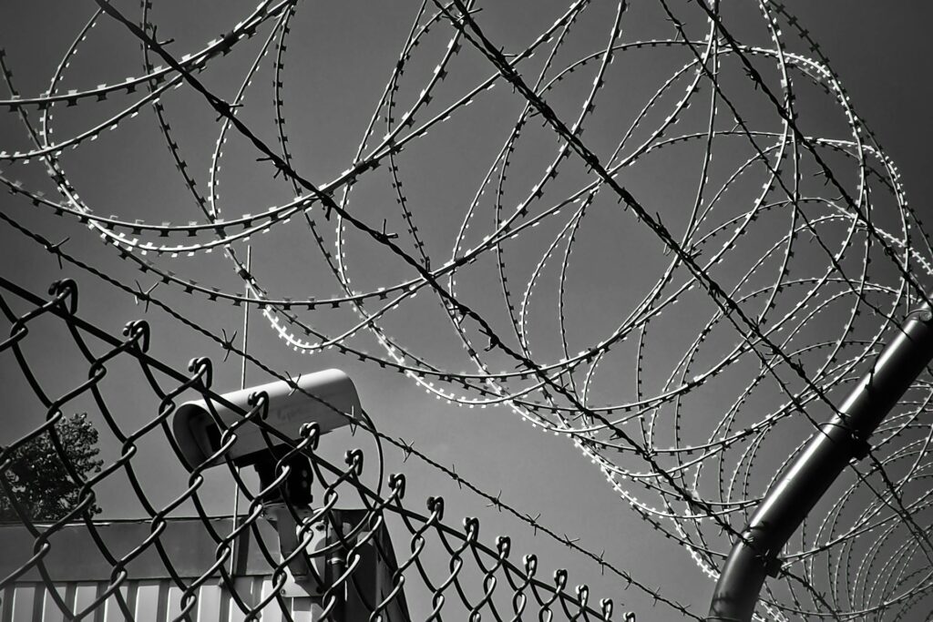 barbed wire fence