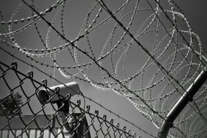 barbed wire fence
