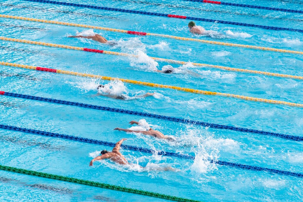 butterfly race